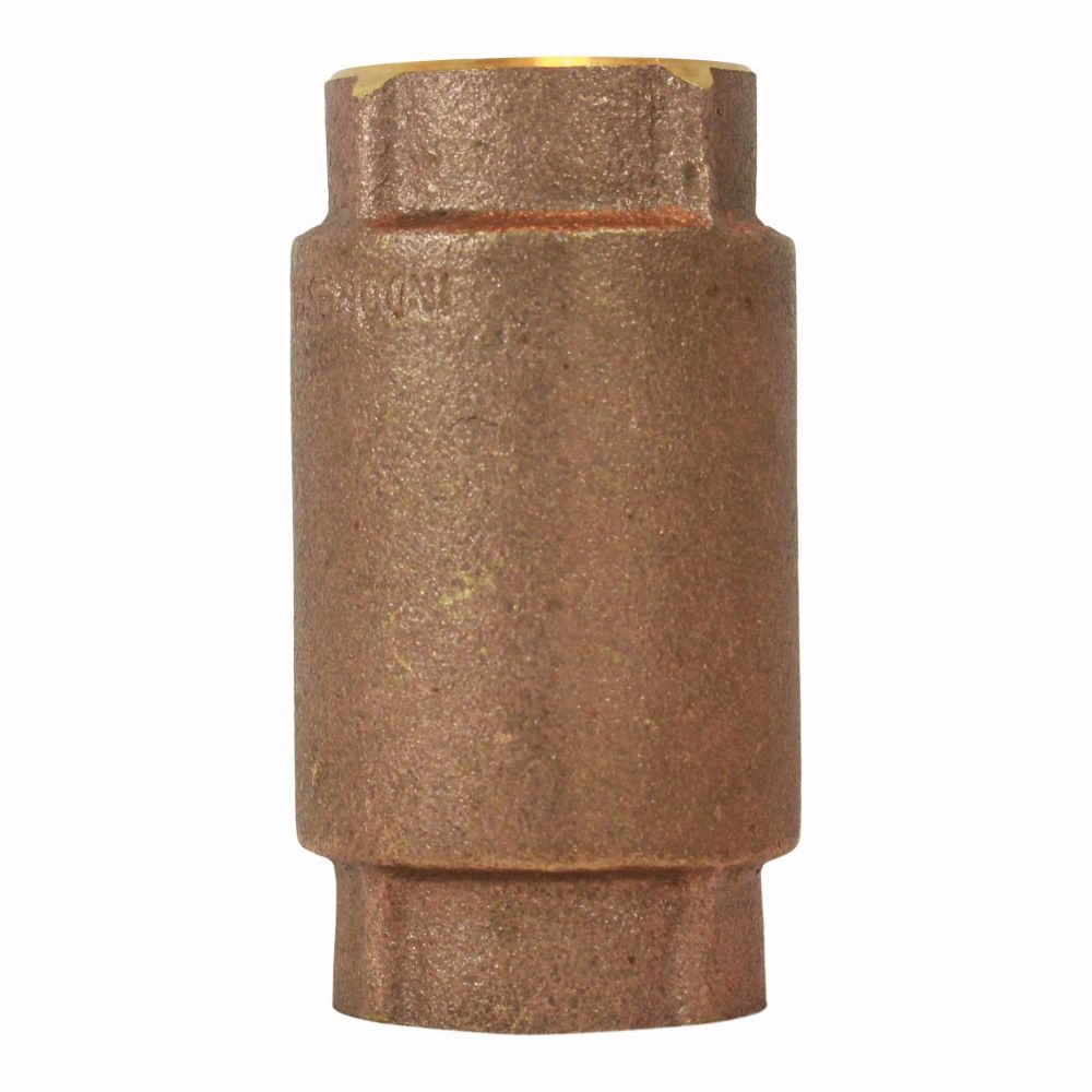  - Brass & SS Check Valves